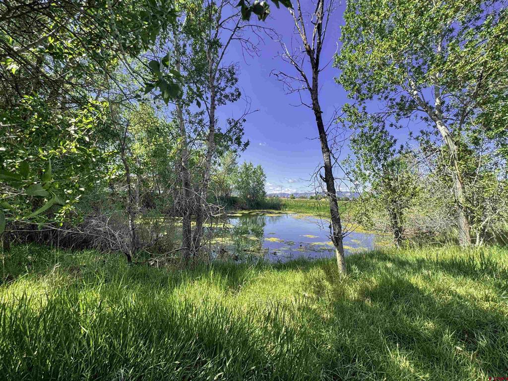 40781 Highway 160 Mancos CO 81328