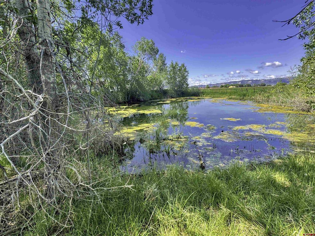 40781 Highway 160 Mancos CO 81328