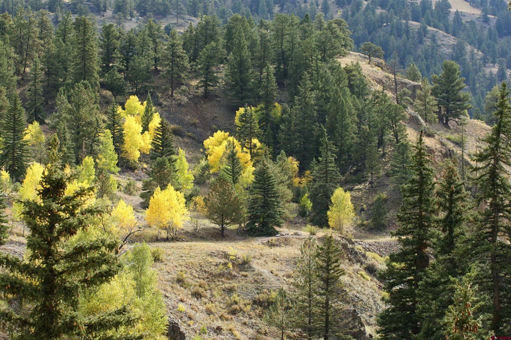1426 Slumgullion Road Lake City CO 81235