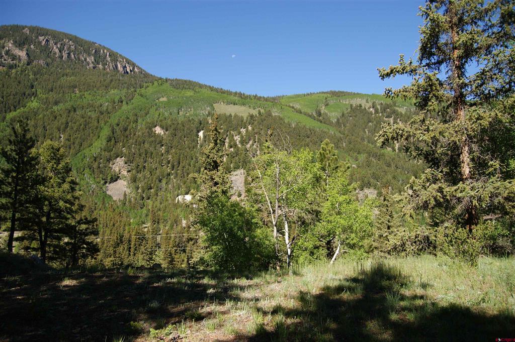 1426 Slumgullion Road Lake City CO 81235