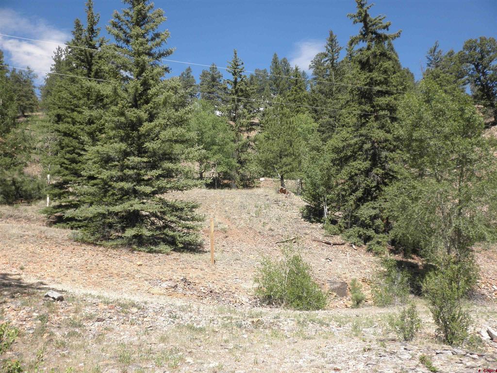 1426 Slumgullion Road Lake City CO 81235