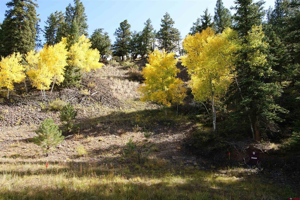 1426 Slumgullion Road Lake City CO 81235