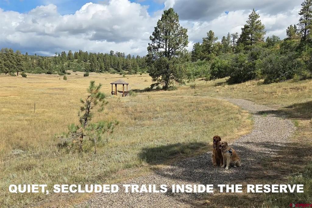 180 Dylan Drive Pagosa Springs CO 81147