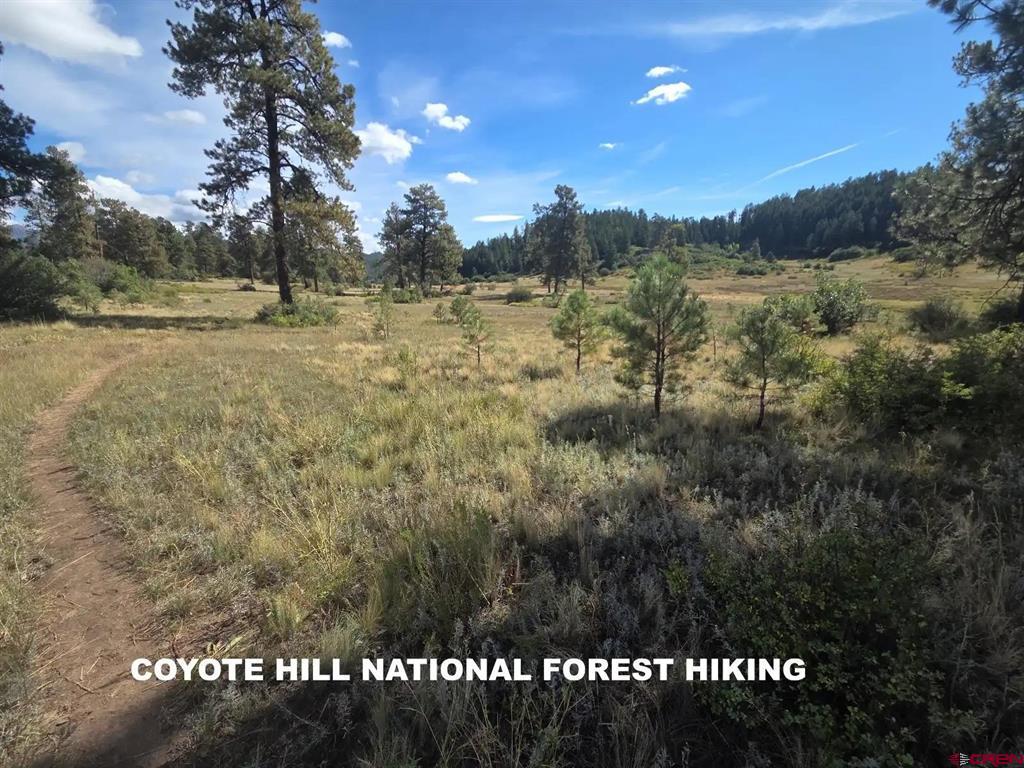 180 Dylan Drive Pagosa Springs CO 81147