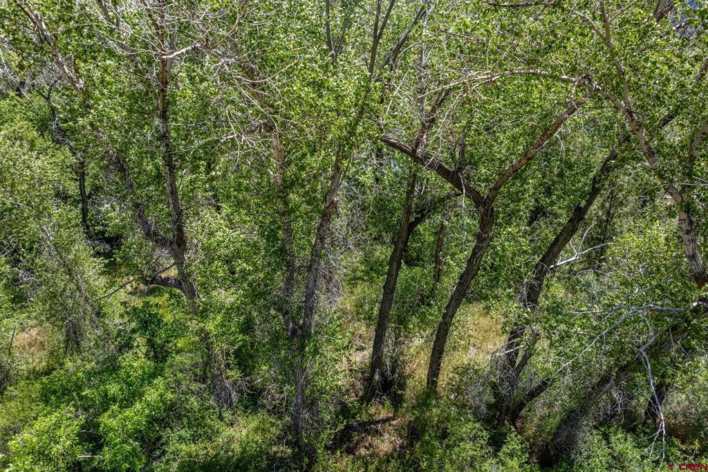 1110 Animas View Drive Durango CO 81301