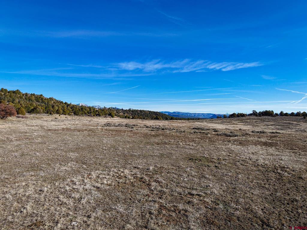 Tbdwp County Road 141 Hesperus CO 81326