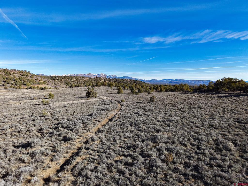 Tbdwp County Road 141 Hesperus CO 81326