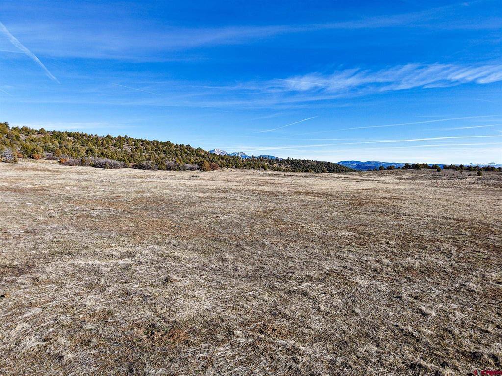 Tbdwp County Road 141 Hesperus CO 81326