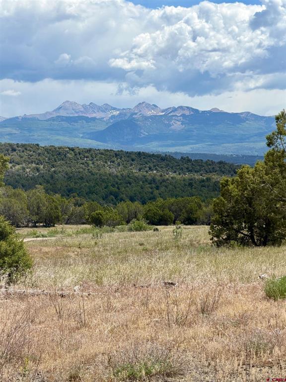 Tbd Road J.9 Mancos CO 81328
