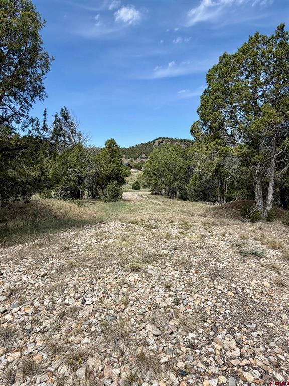 Tbd Road J.9 Mancos CO 81328
