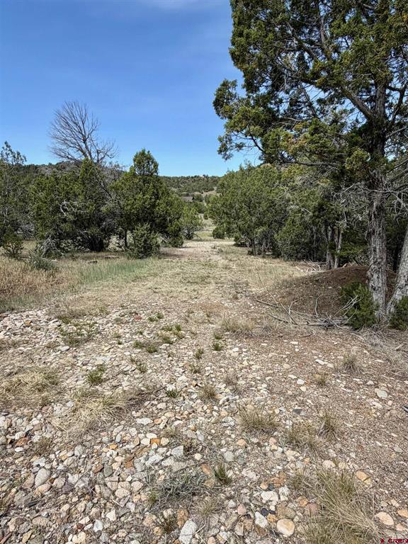 Tbd Road J.9 Mancos CO 81328
