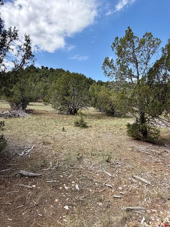 Tbd Road J.9 Mancos CO 81328