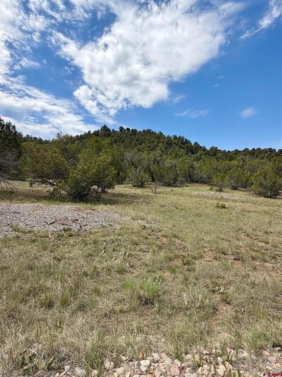 Tbd Road J.9 Mancos CO 81328