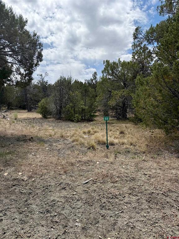 Tbd Road J.9 Mancos CO 81328