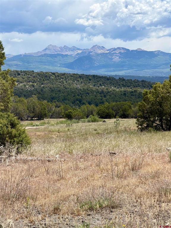 Tbd Road J.9 Mancos CO 81328