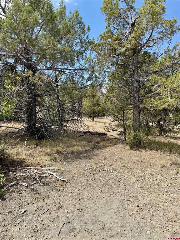 Tbd Road J.9 Mancos CO 81328