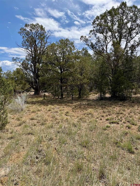 Tbd Road J.9 Mancos CO 81328
