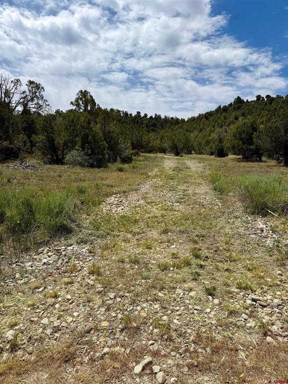 Tbd Road J.9 Mancos CO 81328