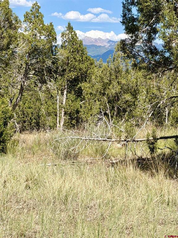 Tbd Road J.9 Mancos CO 81328