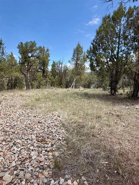 Tbd Road J.9 Mancos CO 81328