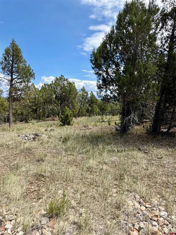 Tbd Road J.9 Mancos CO 81328