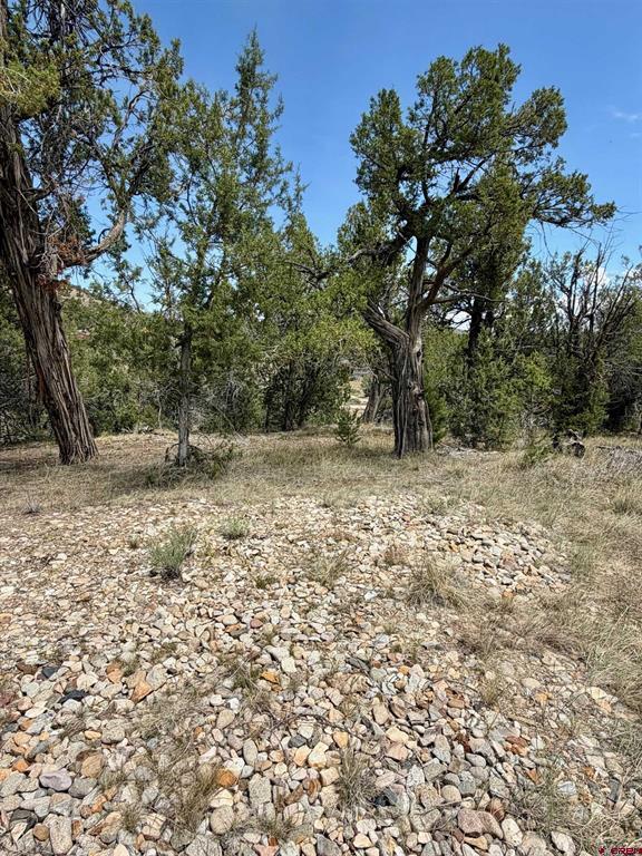 Tbd Road J.9 Mancos CO 81328
