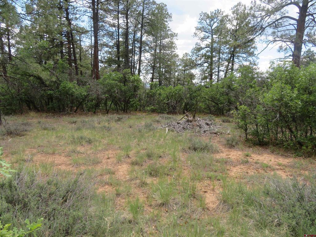 710 Doc Adams Road Pagosa Springs CO 81147