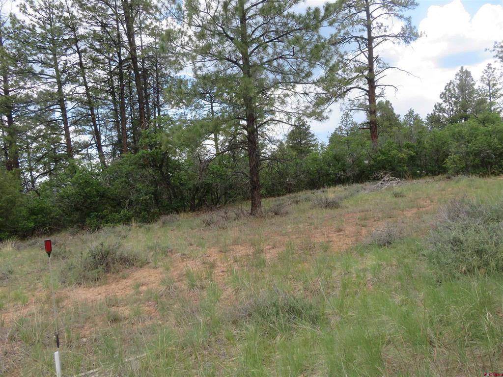710 Doc Adams Road Pagosa Springs CO 81147