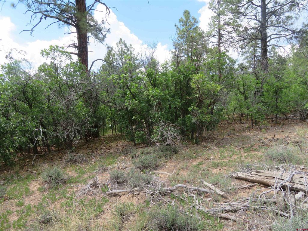 710 Doc Adams Road Pagosa Springs CO 81147