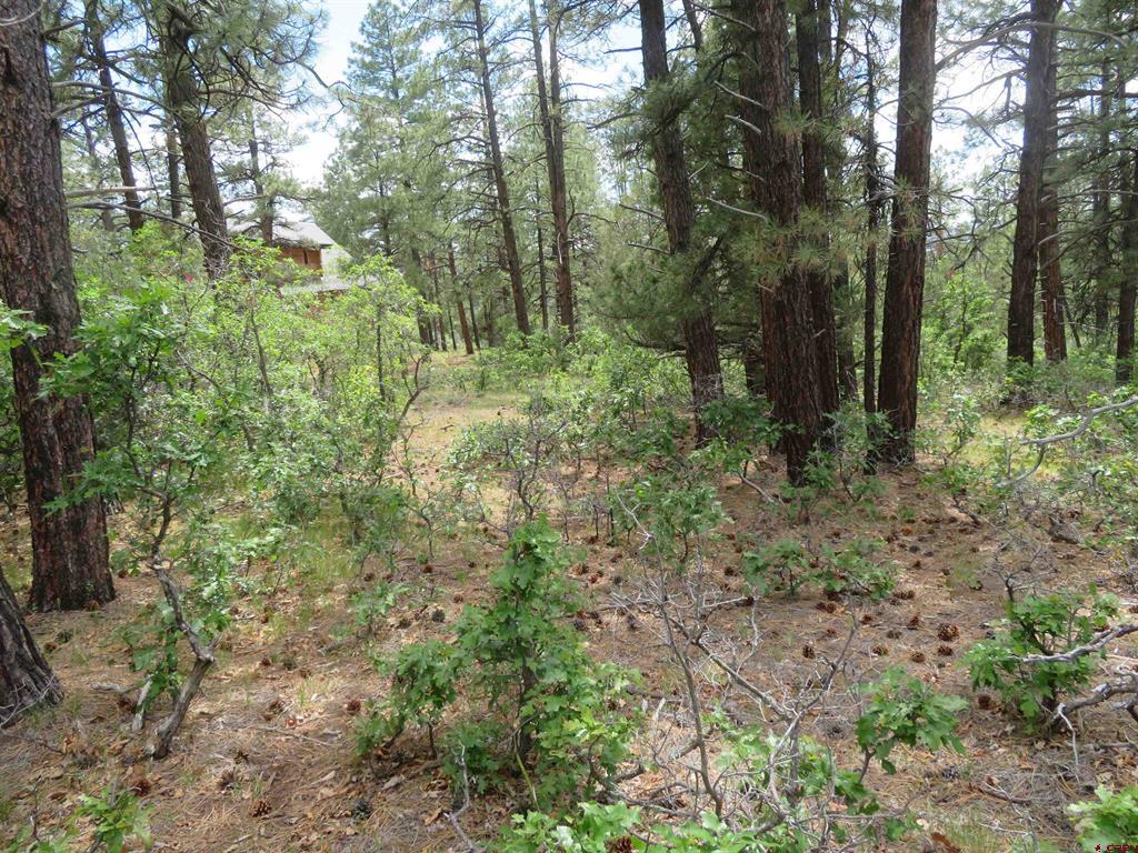 710 Doc Adams Road Pagosa Springs CO 81147