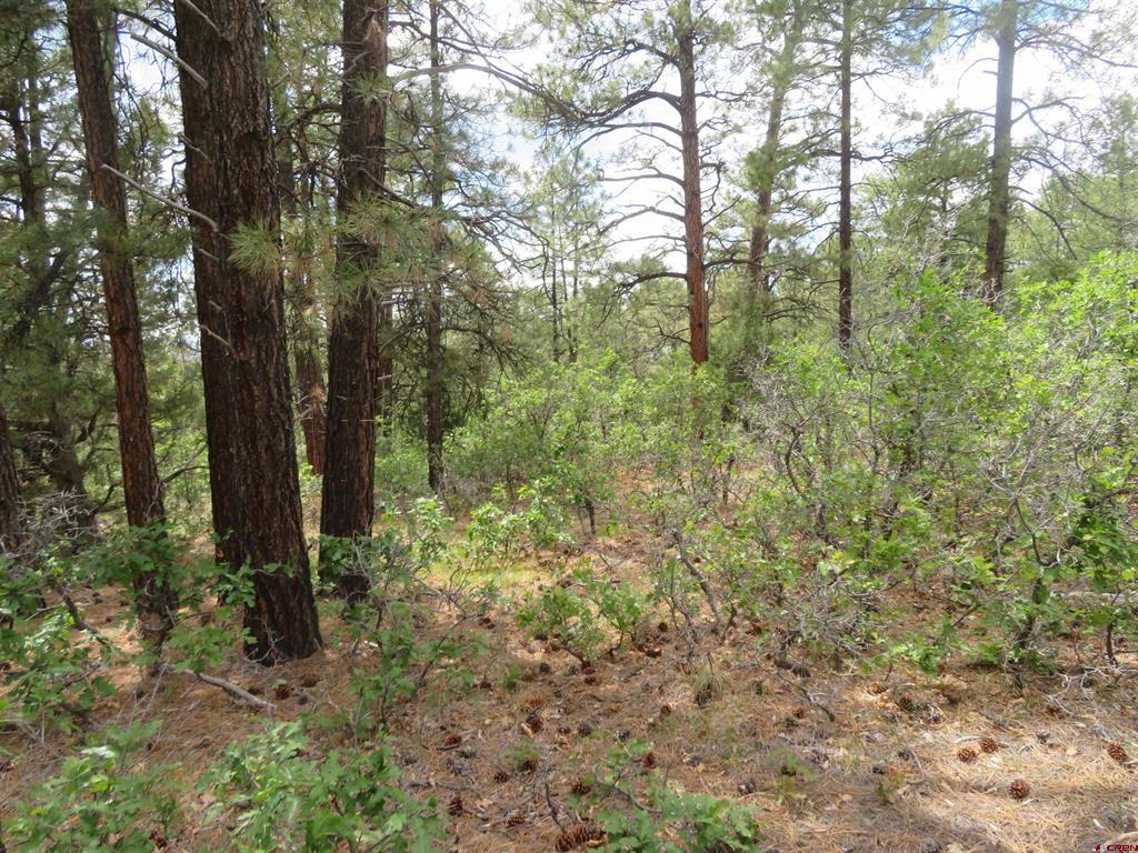710 Doc Adams Road Pagosa Springs CO 81147