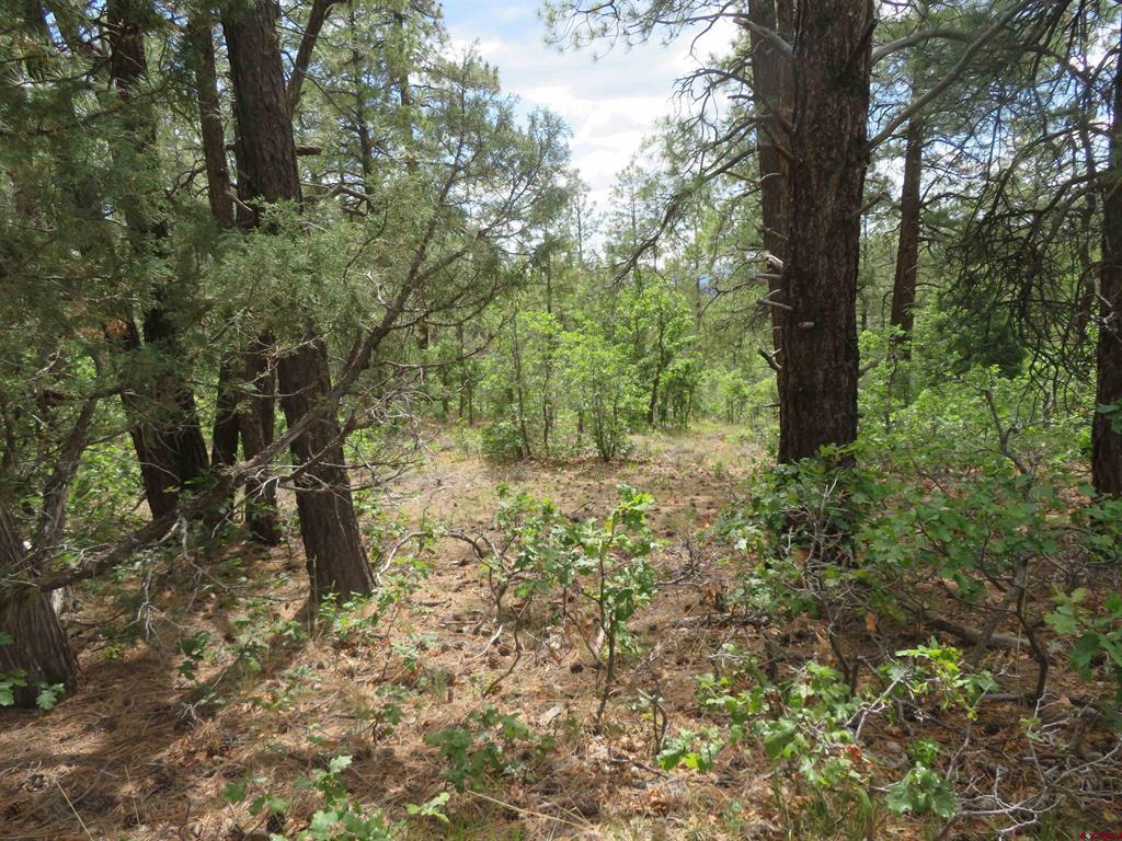 710 Doc Adams Road Pagosa Springs CO 81147