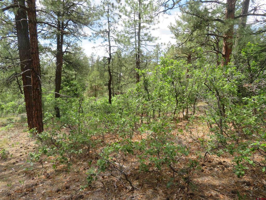 710 Doc Adams Road Pagosa Springs CO 81147