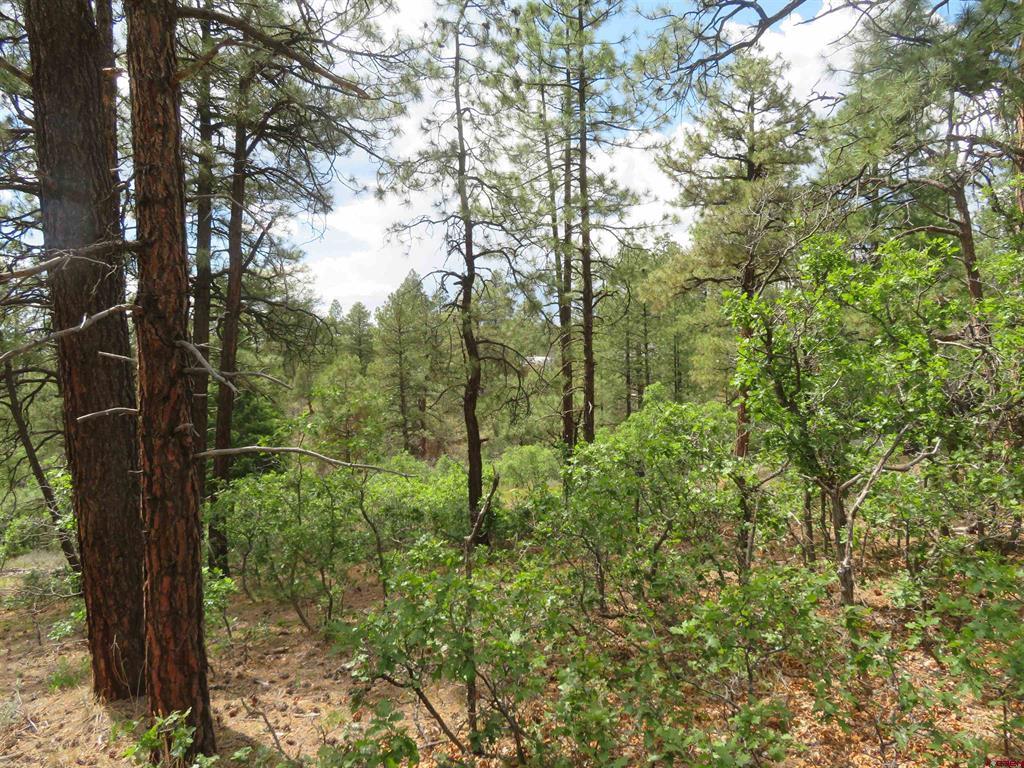 710 Doc Adams Road Pagosa Springs CO 81147