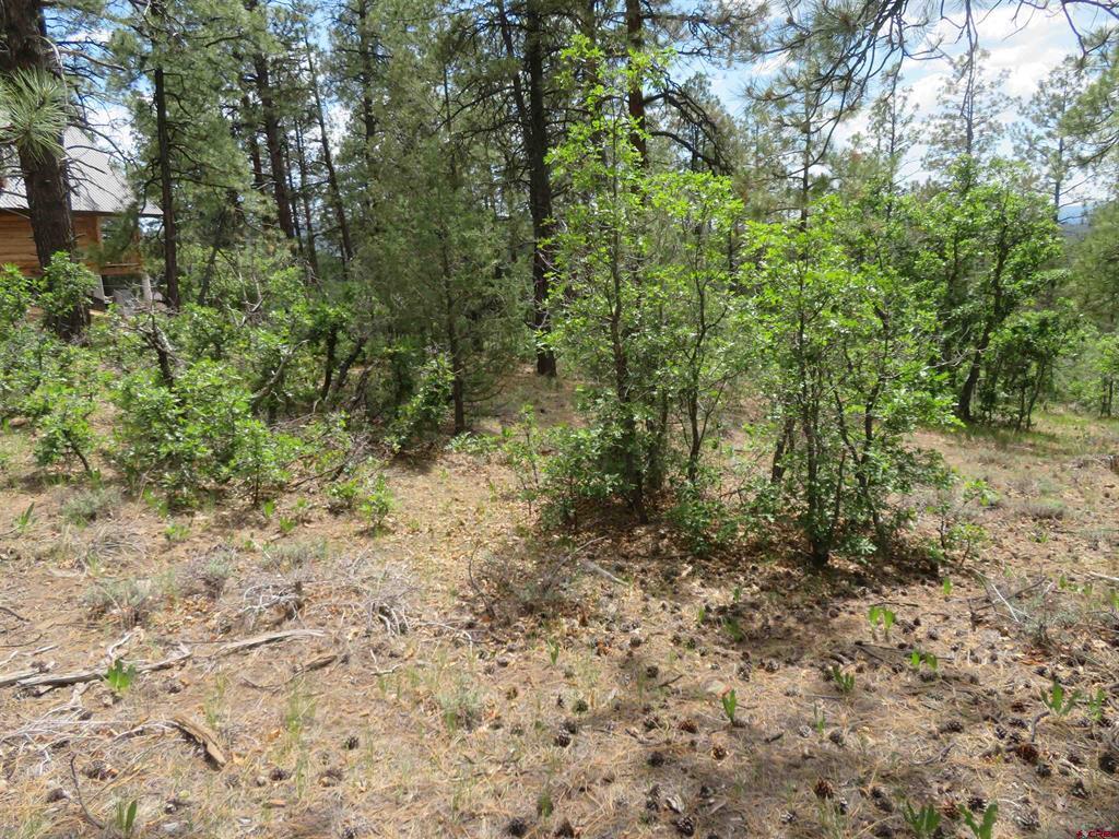 710 Doc Adams Road Pagosa Springs CO 81147