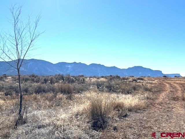 Lot 122, 123 Tbd Nicholette Way Cortez CO 81321