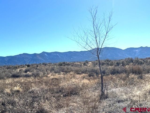 Lot 122, 123 Tbd Nicholette Way Cortez CO 81321