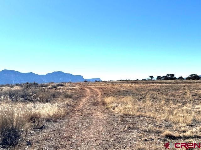Lot 122, 123 Tbd Nicholette Way Cortez CO 81321