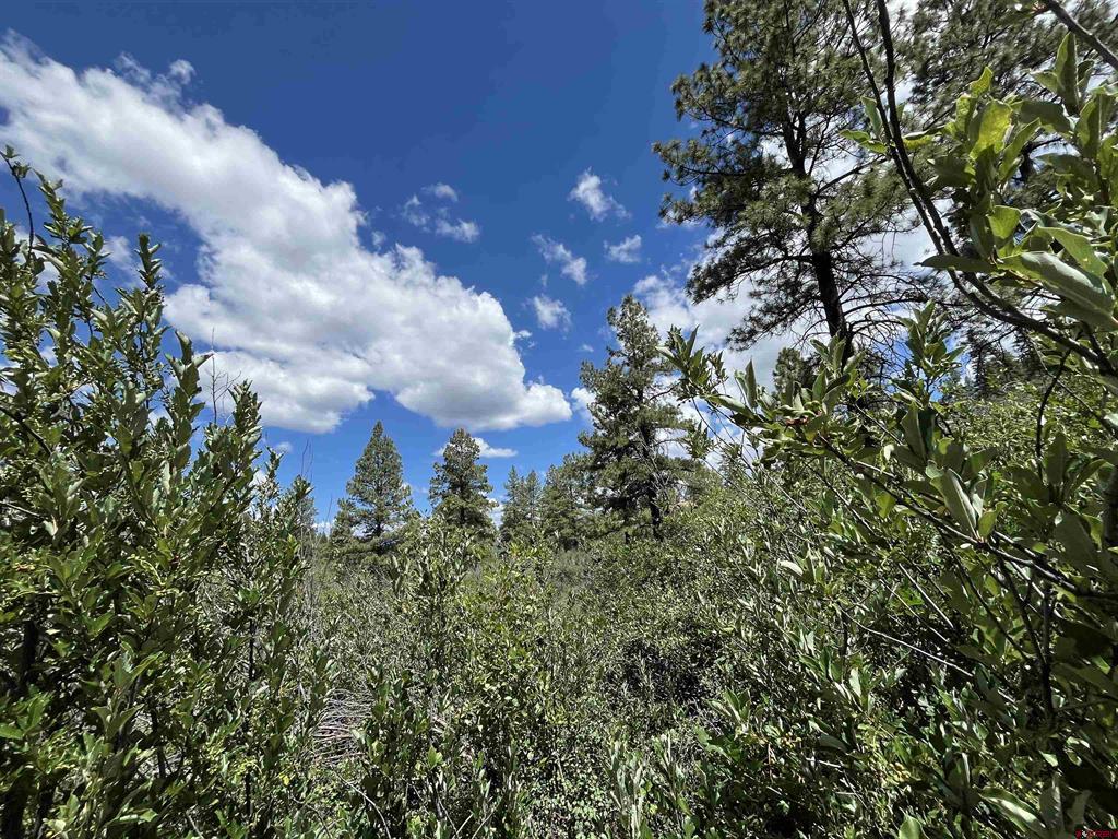 278 Pineridge Trail Pagosa Springs CO 81147