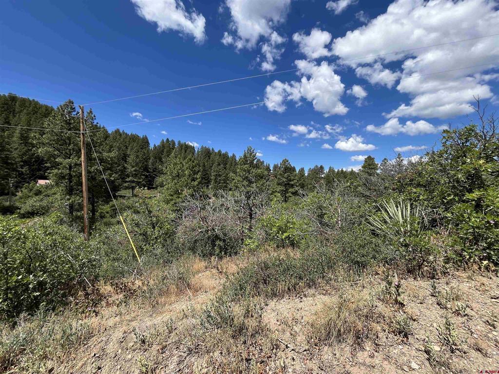 278 Pineridge Trail Pagosa Springs CO 81147