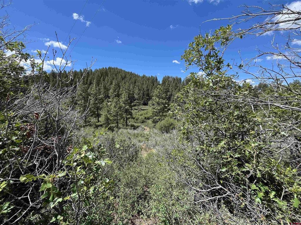 278 Pineridge Trail Pagosa Springs CO 81147