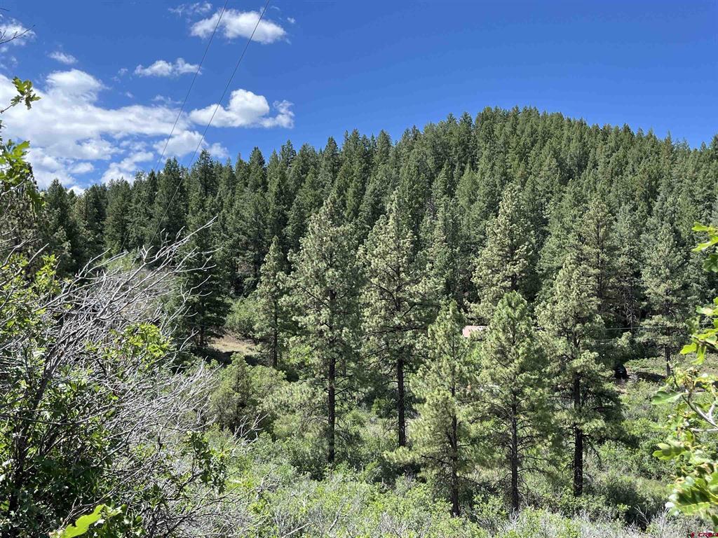 278 Pineridge Trail Pagosa Springs CO 81147