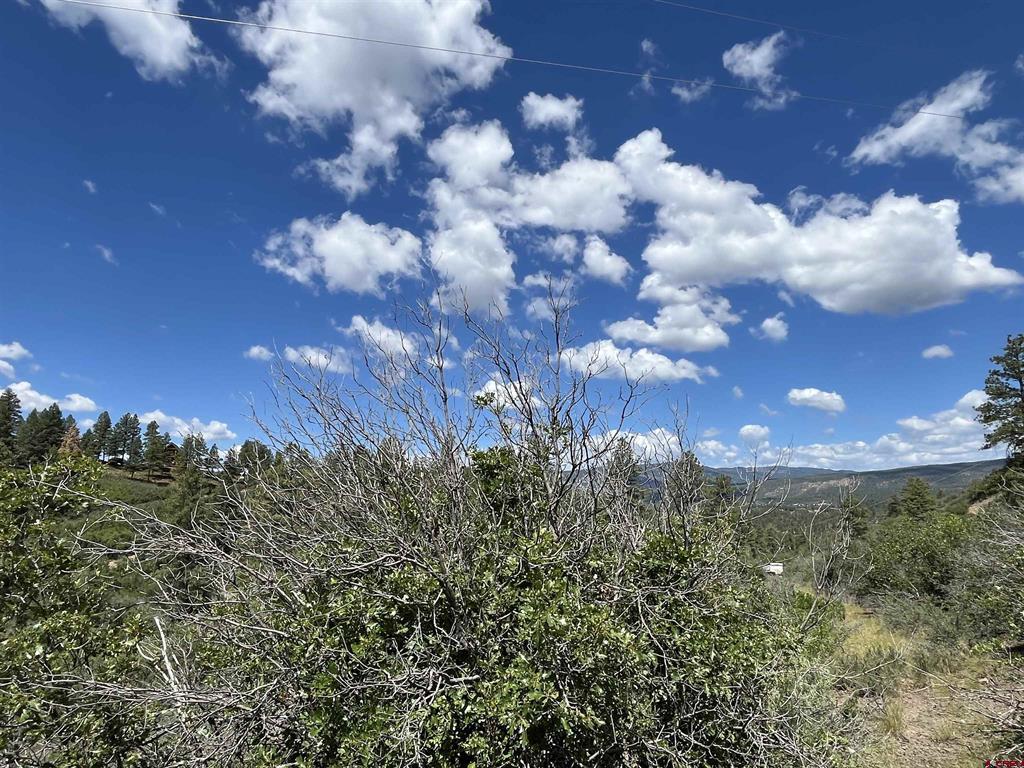 278 Pineridge Trail Pagosa Springs CO 81147