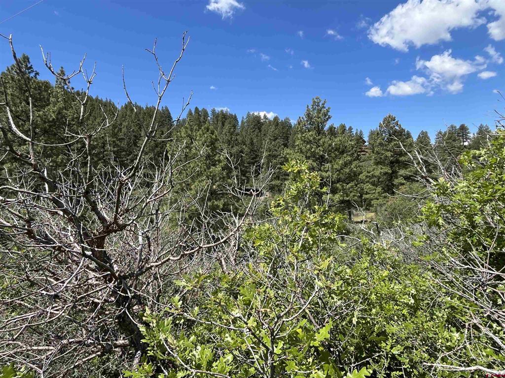 278 Pineridge Trail Pagosa Springs CO 81147