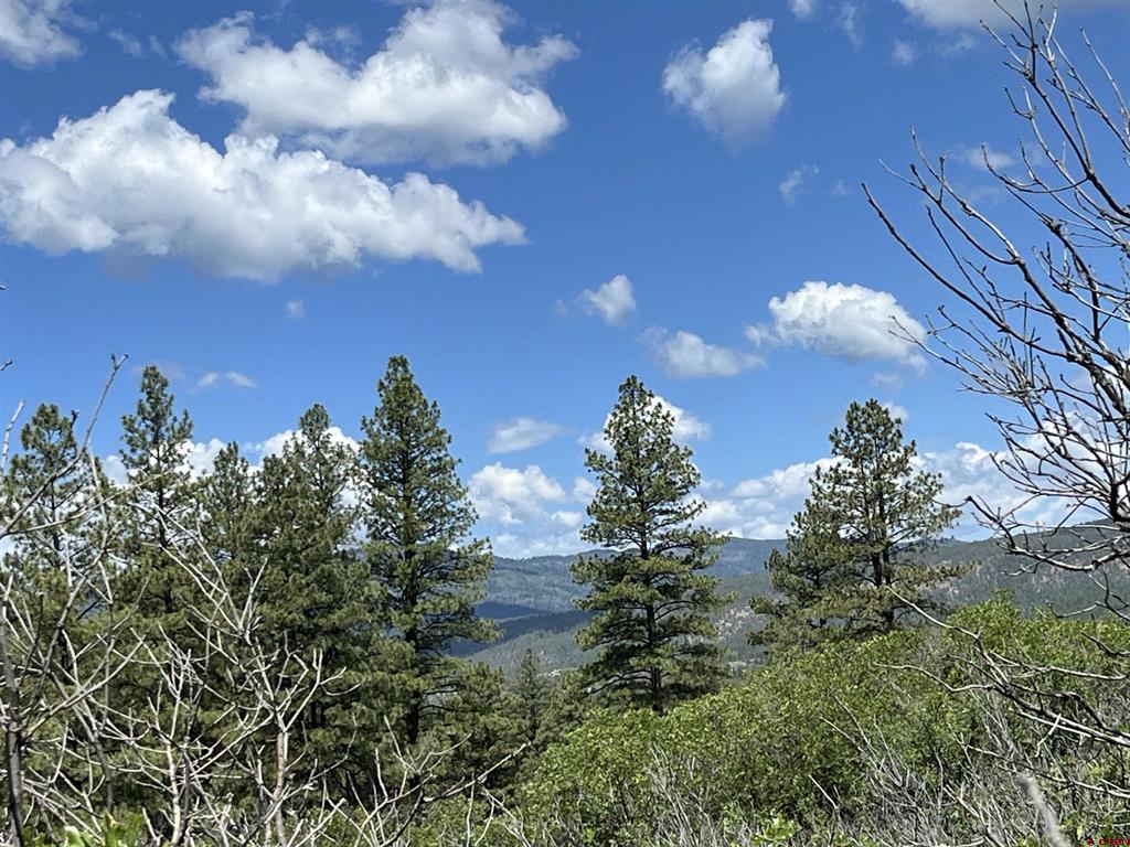 278 Pineridge Trail Pagosa Springs CO 81147