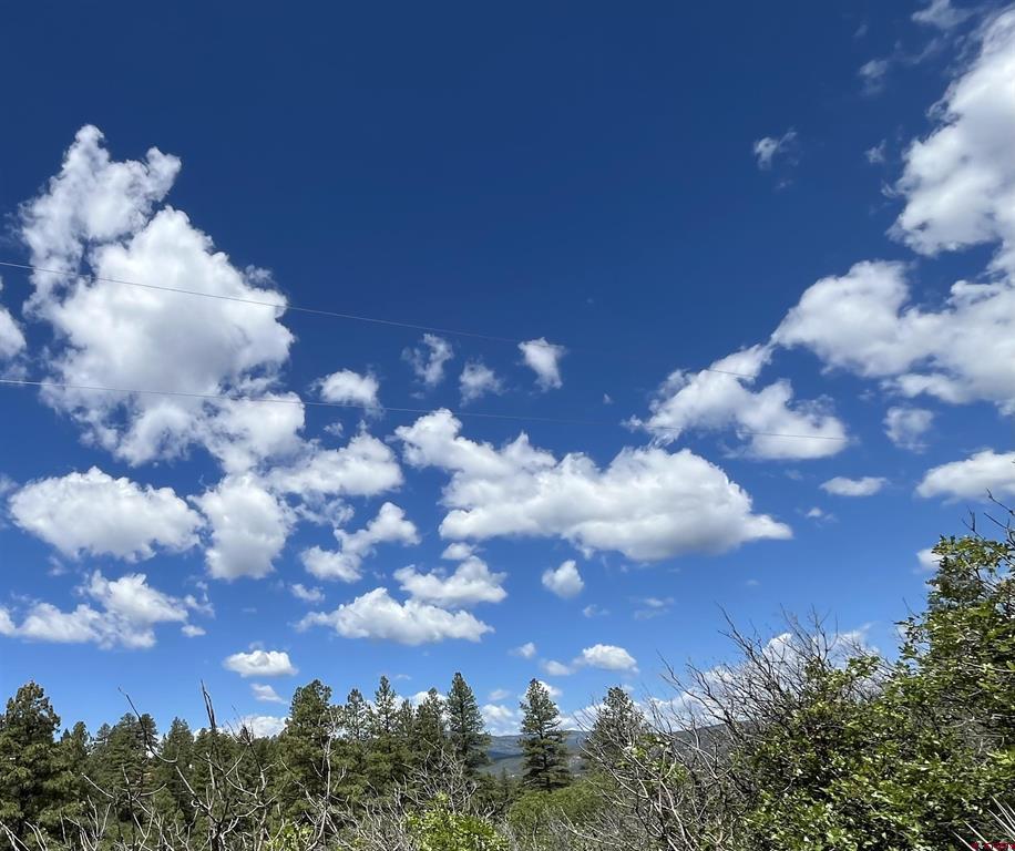 278 Pineridge Trail Pagosa Springs CO 81147