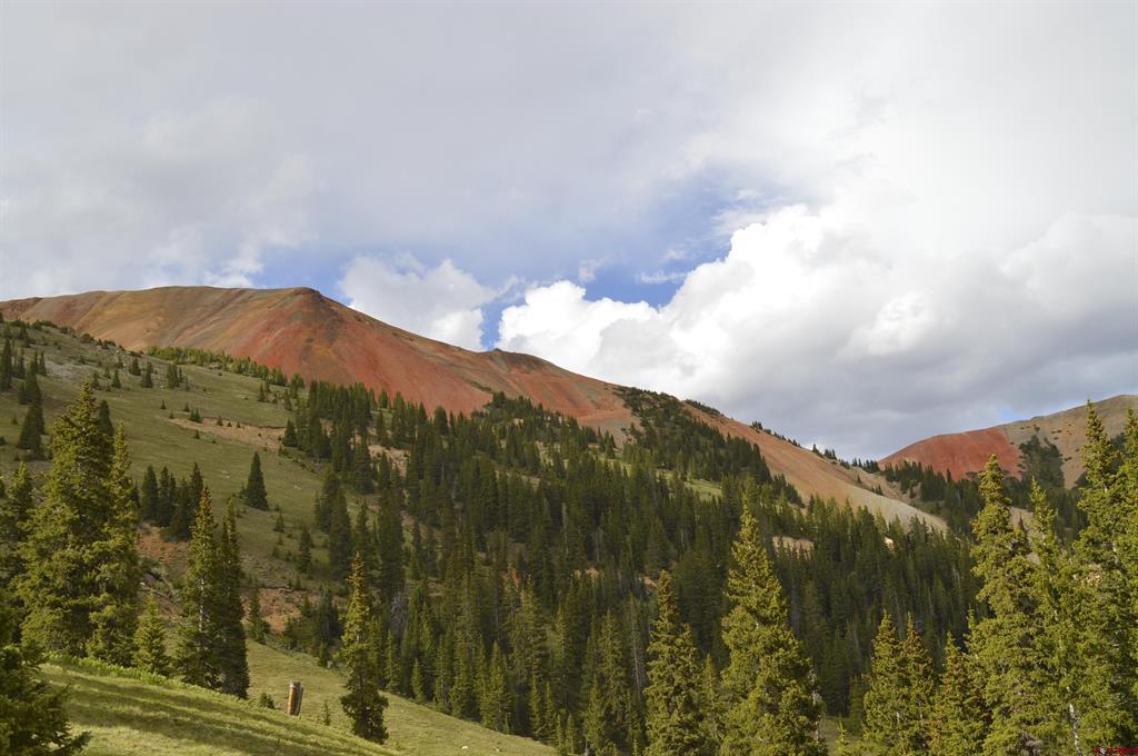 Tbd Cr 35 Silverton CO 81433