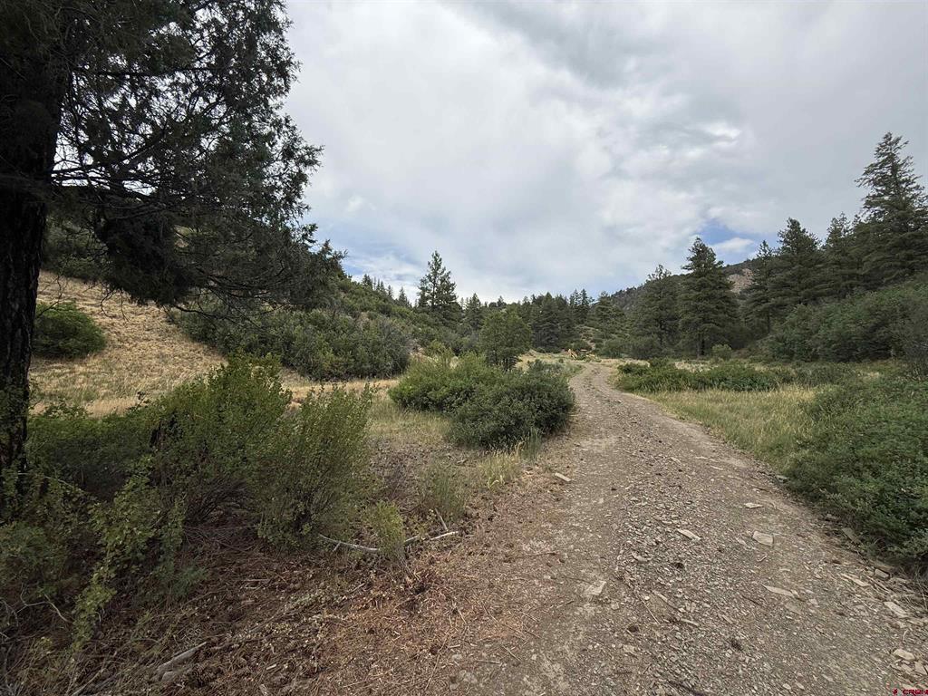 X Us Hwy 84 Highway Pagosa Springs CO 81147