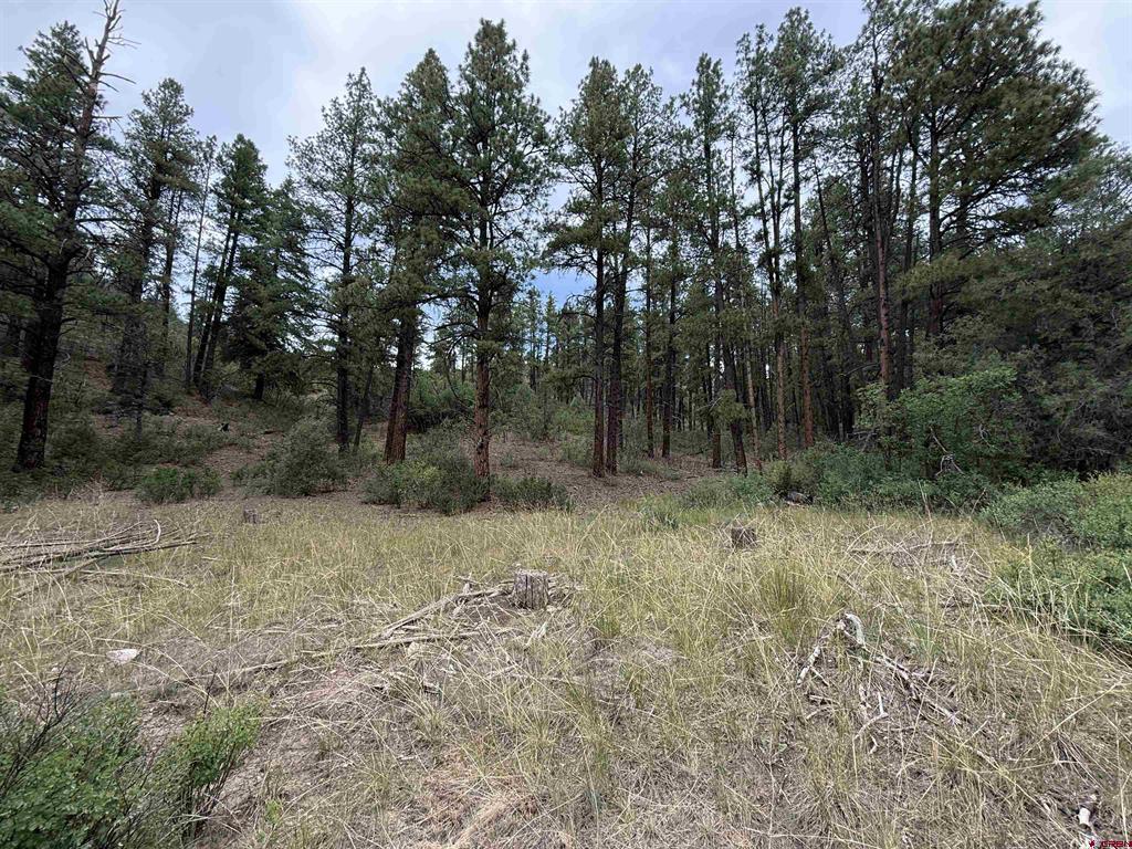 X Us Hwy 84 Highway Pagosa Springs CO 81147