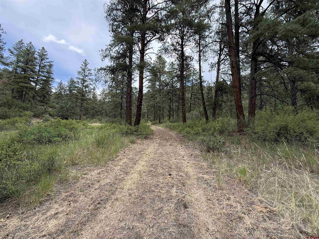 X Us Hwy 84 Highway Pagosa Springs CO 81147